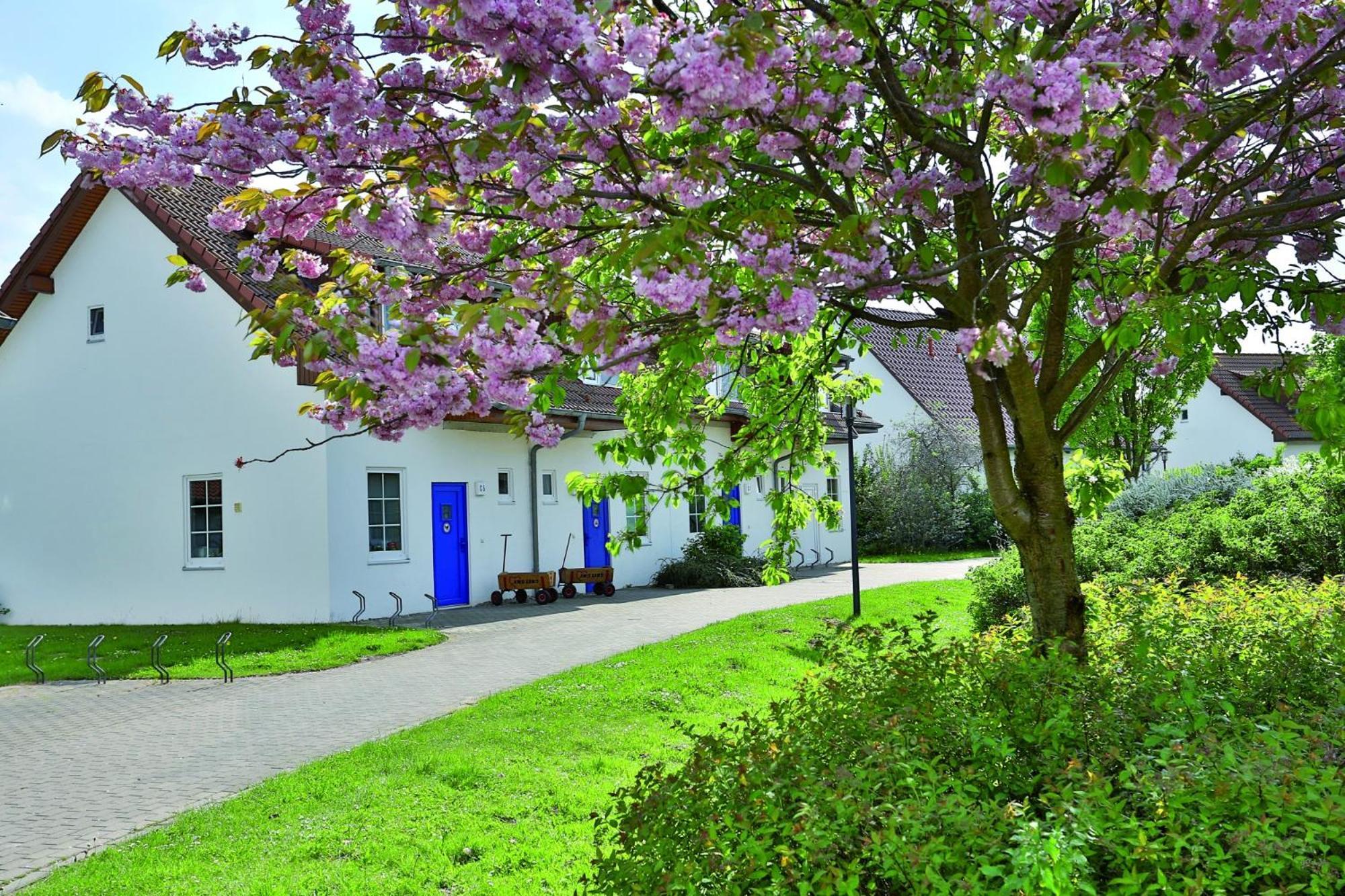 Feriendorf Rerik Extérieur photo